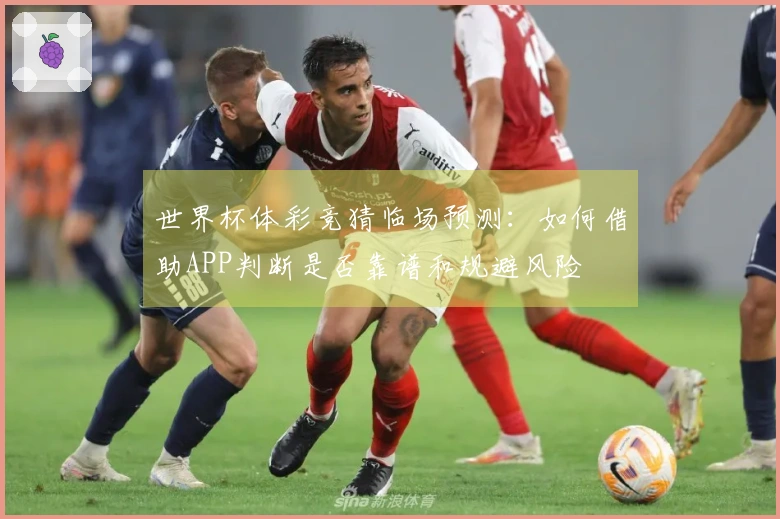世界杯体彩竞猜临场预测：如何借助APP判断是否靠谱和规避风险