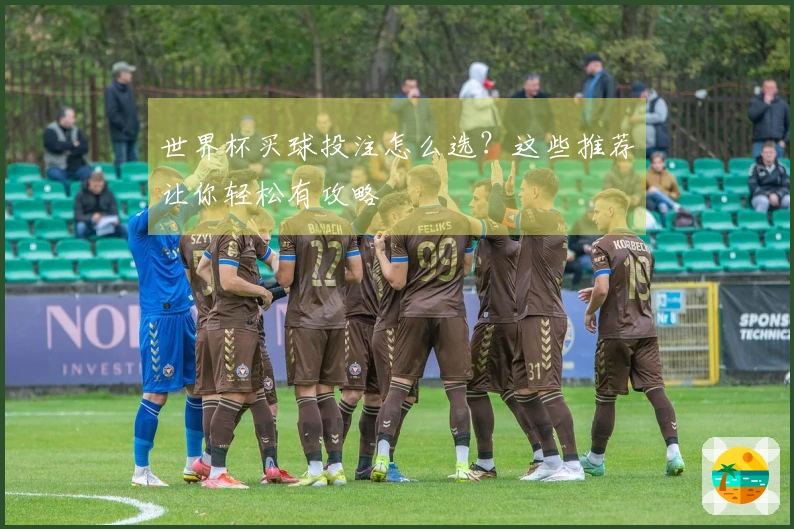 世界杯买球投注怎么选？这些推荐让你轻松有攻略