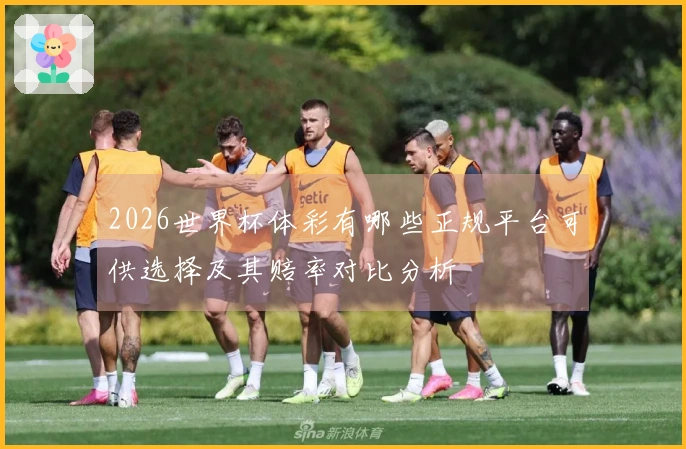 2026世界杯体彩有哪些正规平台可供选择及其赔率对比分析