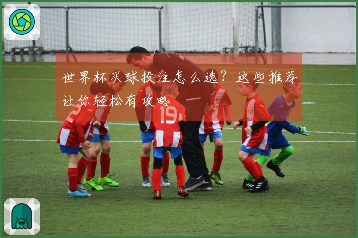 世界杯买球投注怎么选？这些推荐让你轻松有攻略