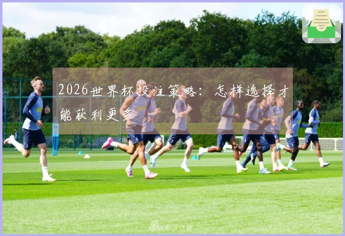 2026世界杯投注策略：怎样选择才能获利更多