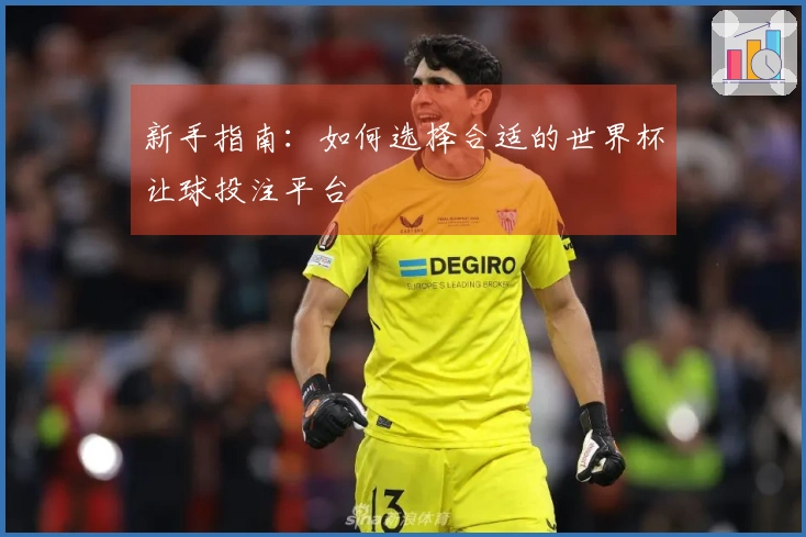 新手指南：如何选择合适的世界杯让球投注平台