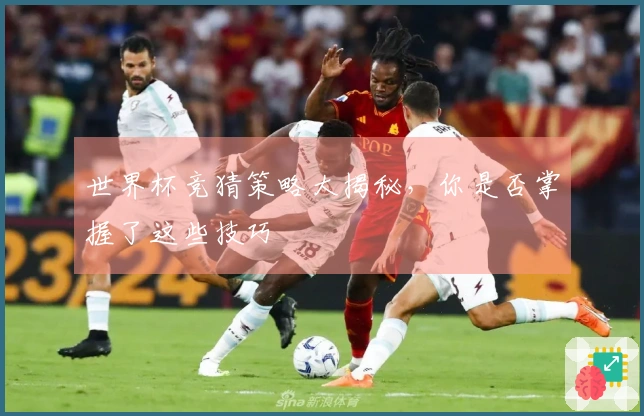 世界杯竞猜策略大揭秘，你是否掌握了这些技巧