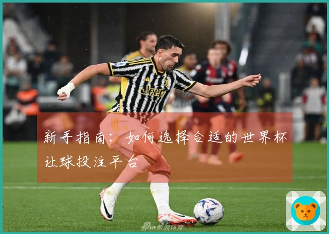 新手指南：如何选择合适的世界杯让球投注平台