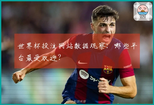世界杯投注网站数据观察：哪些平台最受欢迎？
