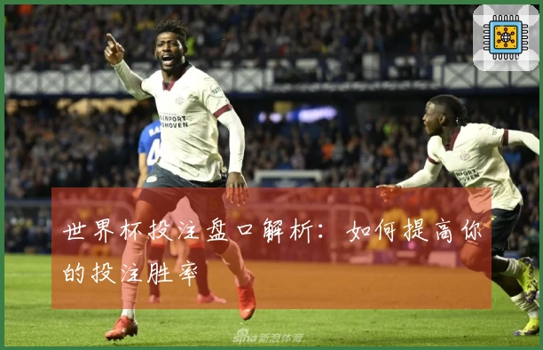 世界杯投注盘口解析：如何提高你的投注胜率