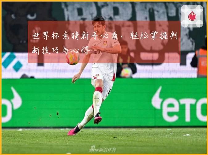 世界杯竞猜新手必看，轻松掌握判断技巧与心得