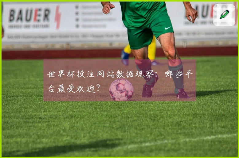世界杯投注网站数据观察：哪些平台最受欢迎？