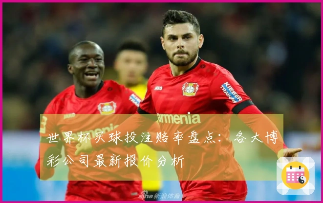 世界杯买球投注赔率盘点：各大博彩公司最新报价分析