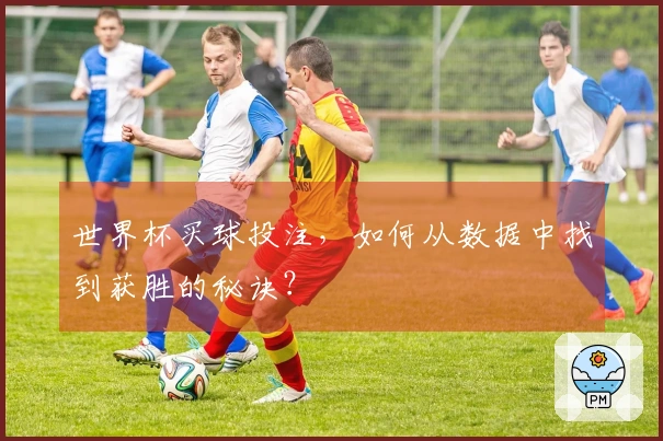 世界杯买球投注，如何从数据中找到获胜的秘诀？