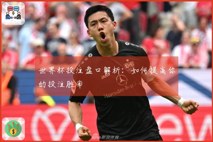 世界杯投注盘口解析：如何提高你的投注胜率