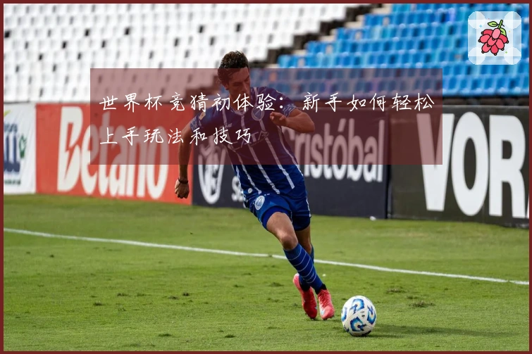 世界杯竞猜初体验：新手如何轻松上手玩法和技巧